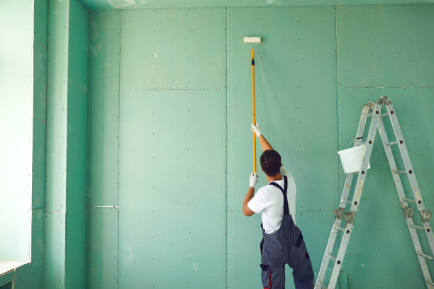 Best Biohazard Mold Removal  in Olivet, MI