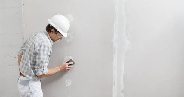 Mold Remediation for Rental Properties in Olivet, MI