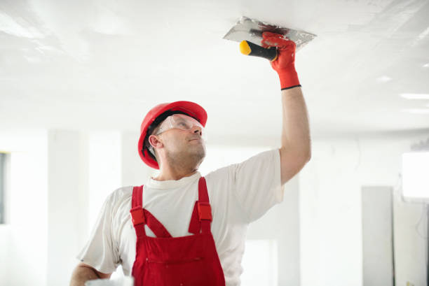 Best Mold Damage Restoration  in Olivet, MI