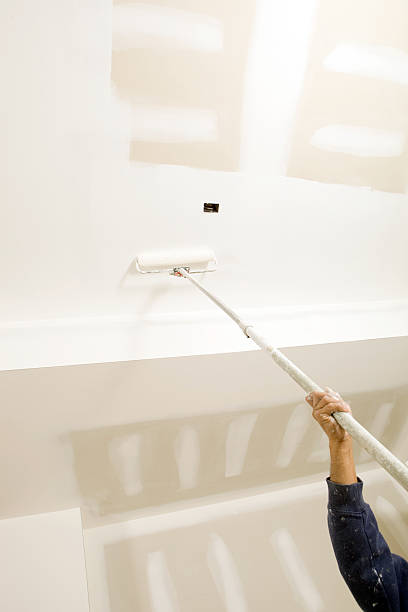 Best Real Estate Mold Inspection  in Olivet, MI