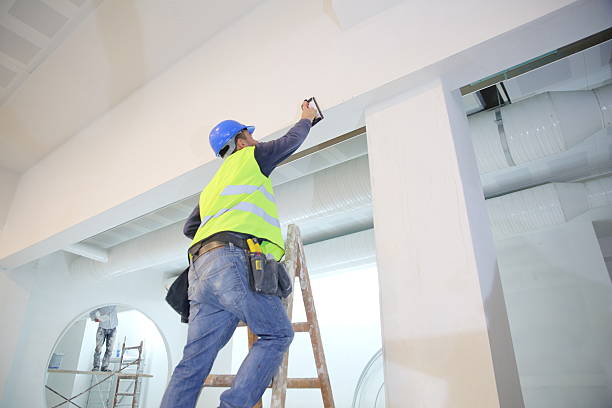Best Mold Documentation for Insurance Claims  in Olivet, MI