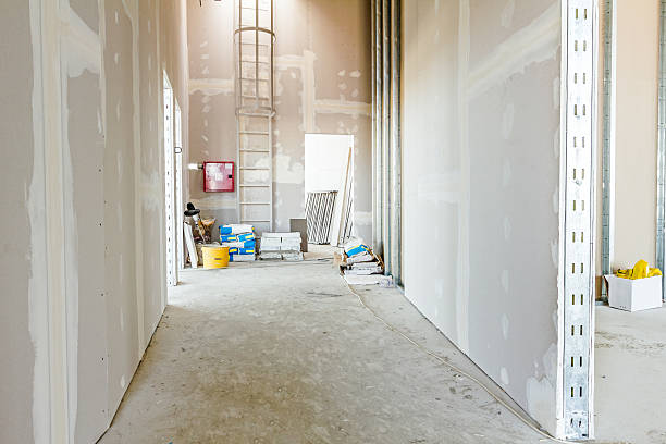 Best Forensic Mold Investigation  in Olivet, MI